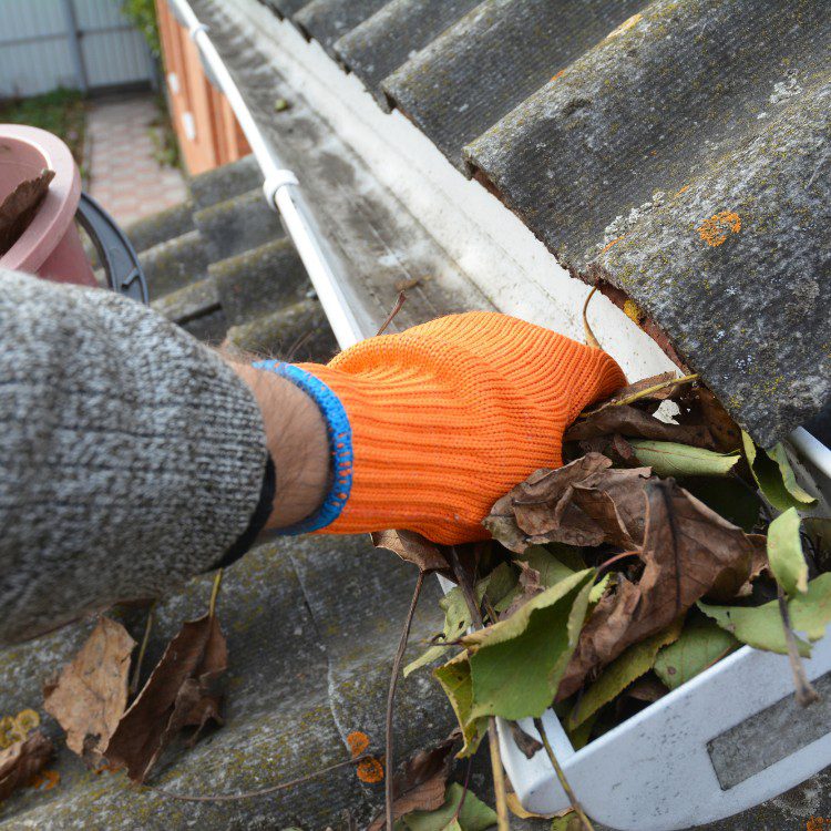 Gutter services in New Braunfels, TX Gutter services in New Braunfels, TX