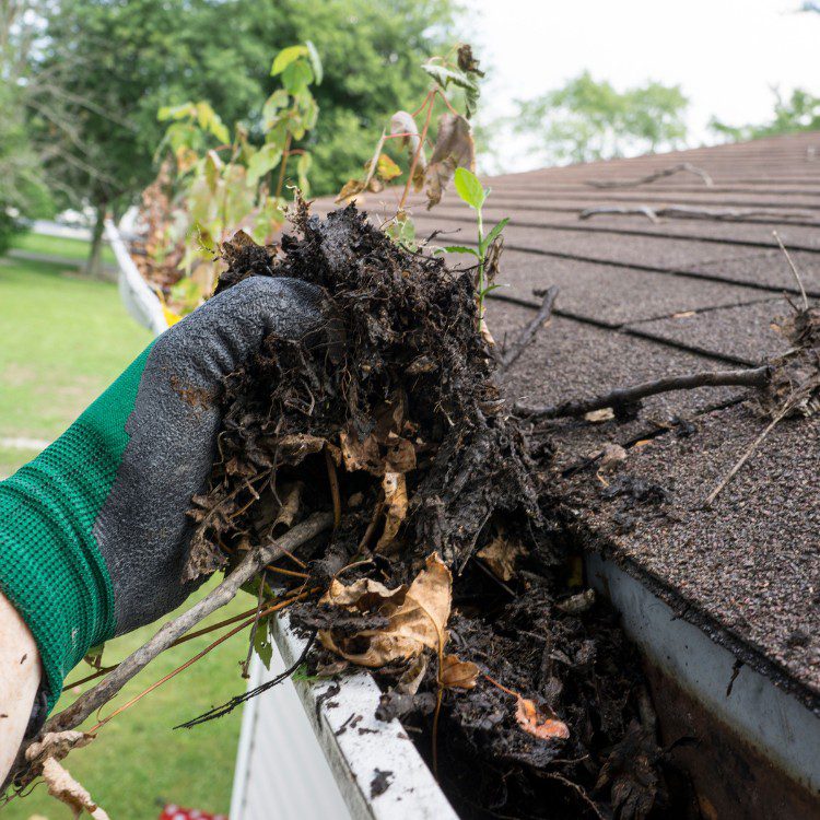 Gutter services in New Braunfels, TX Gutter services in New Braunfels, TX
