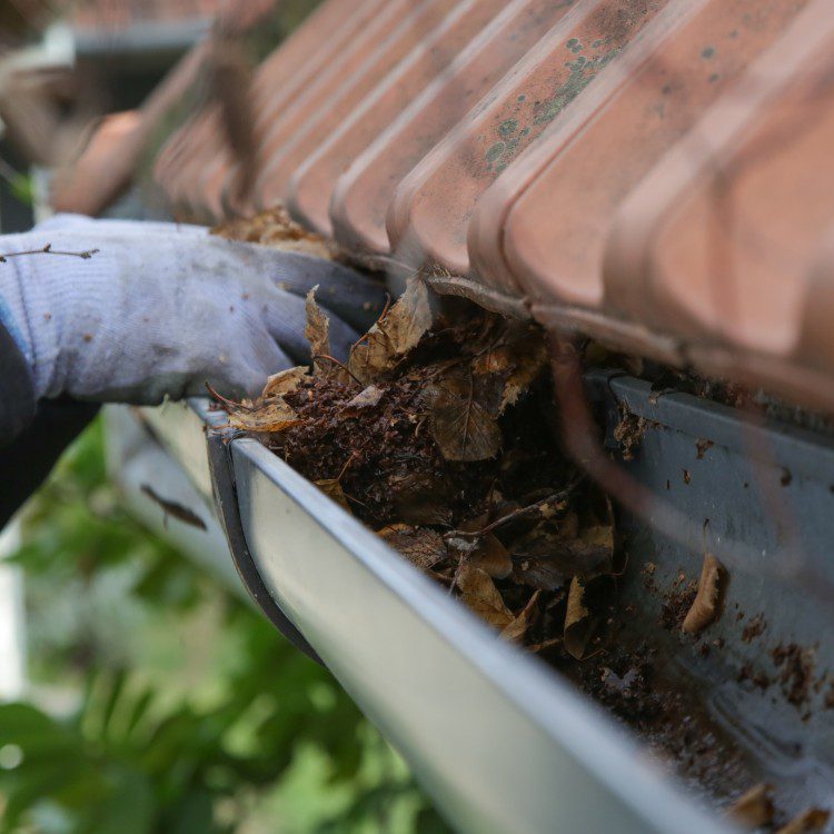 Gutter services in New Braunfels, TX Gutter services in New Braunfels, TX